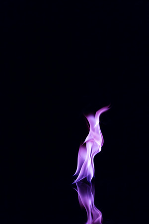 Purple flames on a black background.の写真素材