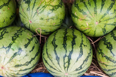 Watermelon for background
