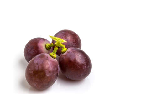 Red grapes on white backgroundの写真素材
