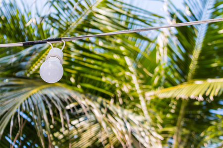 A coconut tree decorated with  lamps near a resort by the beachの写真素材