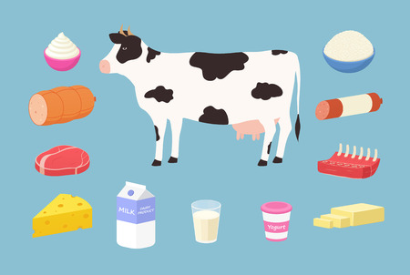 Dairy products and meat products from cows. Set of butter, yogurt, milk, hard cheese, rib, steak, sausage, cream, cottage cheese.のイラスト素材