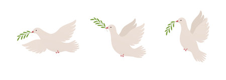 Flying dove with olive branch in different positions, symbol peace. pigeon sign.のイラスト素材