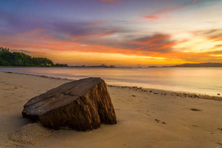Dead tree trunk during sunset on a beach at Kota Kinabalu, Sabah, Malaysiaの写真素材