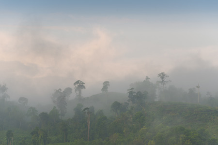 misty landscape scenery with layers of rainforest hills at morning in Ranau Sabah Malaysiaの写真素材