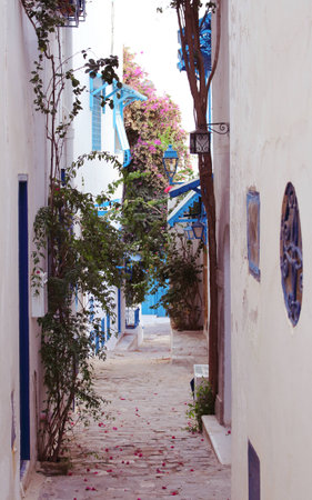 Sidi Bou Saidの写真素材