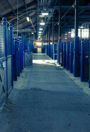 circus, colors, fun, circle, speed, ride, background,の写真素材