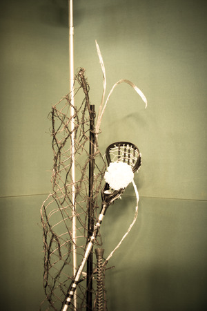 flowers, decoration, plants,   close up , macro, aspect, partial, backgroundの写真素材