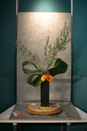 flowers, decoration, plants,   close up , macro, aspect, partial, backgroundの写真素材