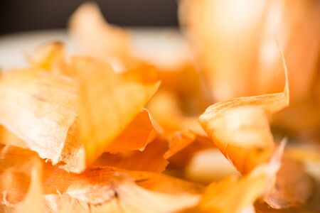 onionの写真素材