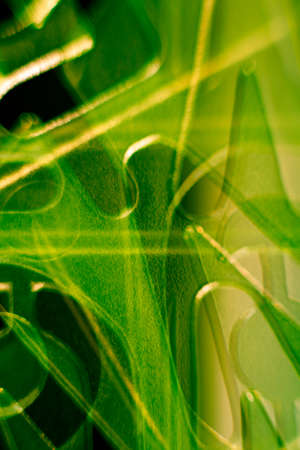 letters and numbersの写真素材