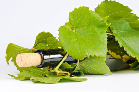 glass Wineの写真素材