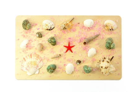 Colored seashells laid out on a wooden board on a white backgroundの写真素材