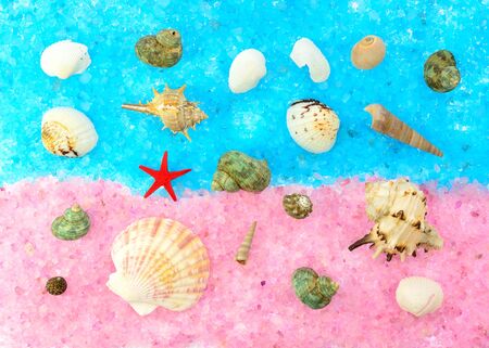 Colored sea shells and a star on pink and blue sea saltの写真素材