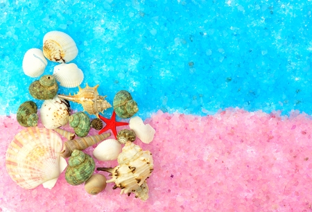 The composition of sea shells and stars on pink and blue sea salt