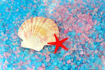 Shells and starfish on a sea salt of different colorsの写真素材