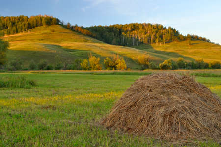 Haystack in the field on a background of hillsの写真素材
