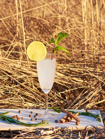 Gin with mint and lemon in a glass outdoorsの写真素材