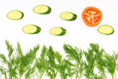 Cucumber and tomato, dill on white backgroundの写真素材