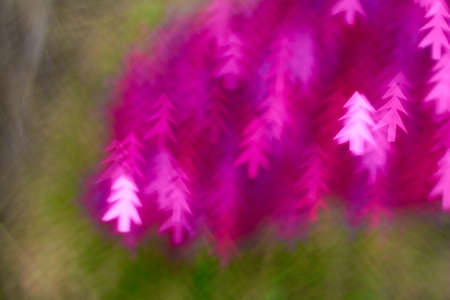 The background blur of pink and greenの写真素材