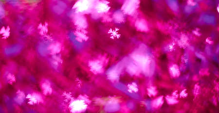 The background blur of pink and purpleの写真素材