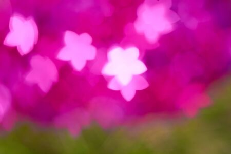 The background blur of pink and greenの写真素材