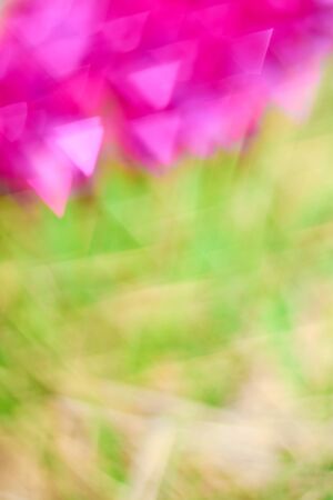 The background blur of pink and greenの写真素材