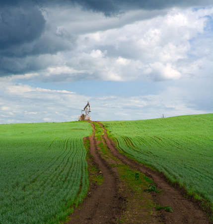 Road on a green field leading to a beam pumping unit for pumping oil in the summerの写真素材