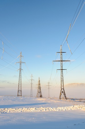 Foggy winter day at the edge of the forestの写真素材