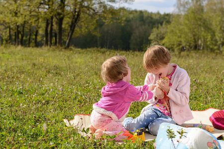 A girl takes a toy from her elder sister outdoorsの写真素材