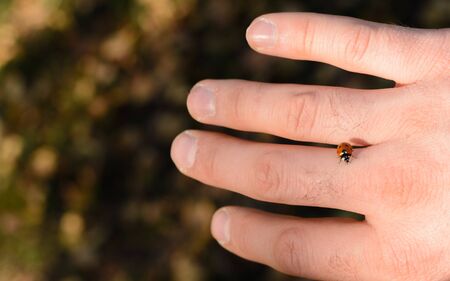 Ladybug crawling on the fingers of a man's hand