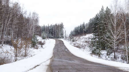 The road in the snowy woods in winter