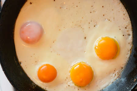 Cat playing with Christmas decorations on a white backgroundの写真素材