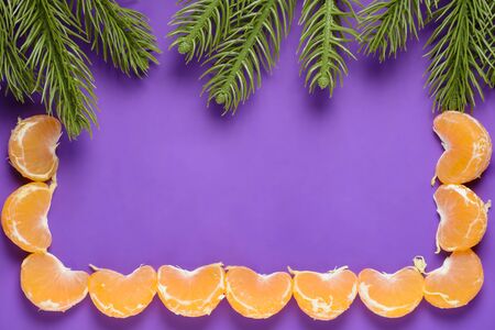 The branches of spruce and tangerine slices on a purple backgroundの写真素材