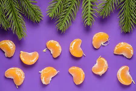 The branches of spruce and tangerine slices on a purple backgroundの写真素材