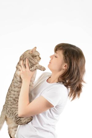 Young woman and a British cat on a white backgroundの写真素材