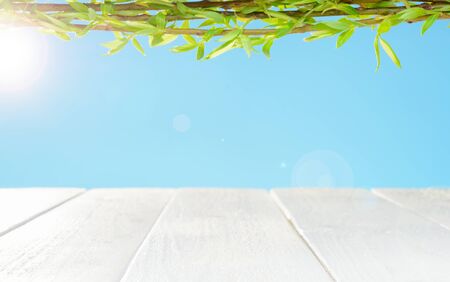Summer composition of white wooden planks and branches with green leaves