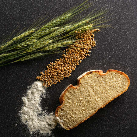 Ears of corn, grain and flour rye lie on a dark ceramic tileの写真素材