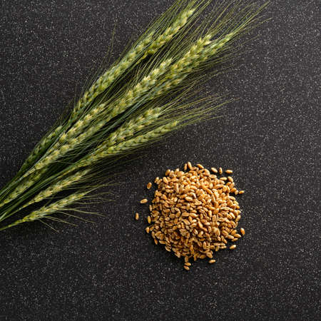 The green ears and rye lie on a dark ceramic tileの写真素材