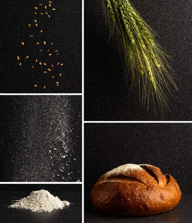 Ears of rye, corn, flour and a loaf of bread - a collageの写真素材
