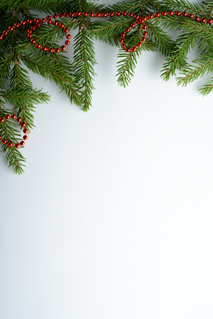 Spruce branches and red beads on a white backgroundの写真素材