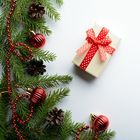 Spruce branches, red beads and gift box on a white backgroundの写真素材