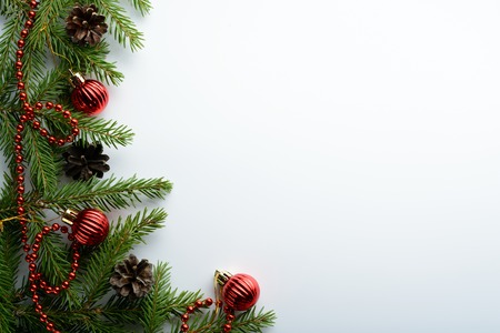 Spruce branches and red beads on a white backgroundの写真素材