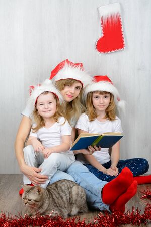 Scottish cat sitting next to a woman and two little girlsの写真素材