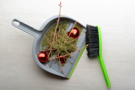 Scoop with a brush, dry twigs, fallen spruce needles and broken ballの写真素材