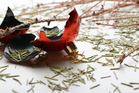 Dry branches of spruce and smashed the ball on the floorの写真素材