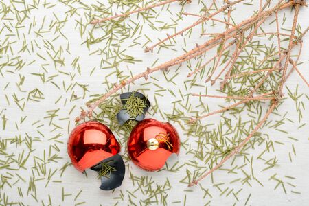 Dry branches of spruce and smashed the ball on the floorの写真素材