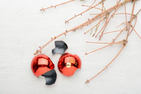 Dry branches of spruce and smashed the ball on the floorの写真素材