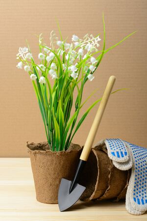 Garden tools for planting on a wooden tableの写真素材