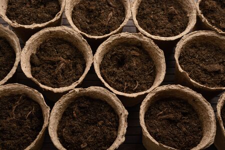 Peat pots with soil on a wooden tableの写真素材