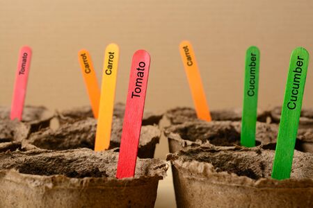 Multicolored sticks in peat pots with soilの写真素材